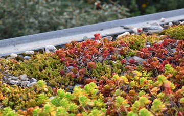 the cost of Corry green roof installation
