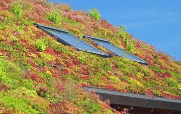 Corry living roof systems